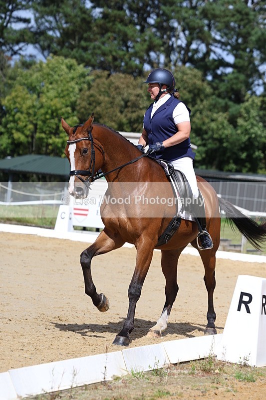 3E7A3664 - Class 8: Novice 6 Section A Championship