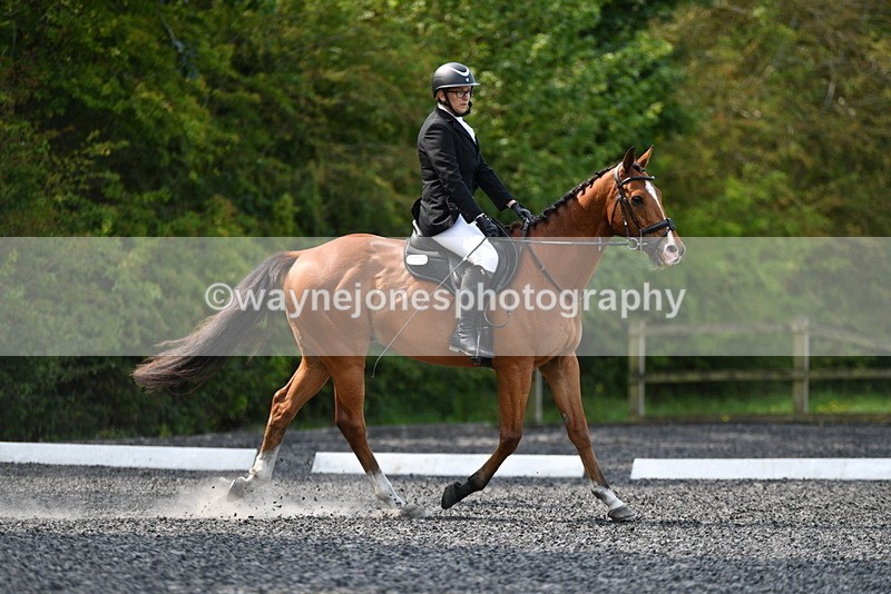 WJ5_9313 - Time 10:10 to 10:47