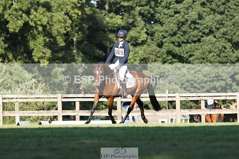 250823A-090125-25835 - Arena D