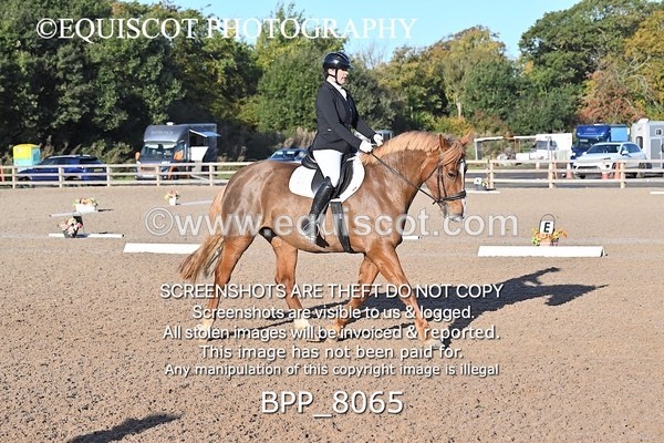 BPP_8065 - LONG ARENA