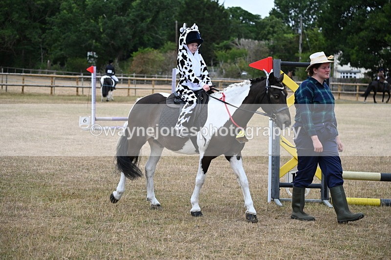 WJ6_8641 - Class 11 Fancy Dress