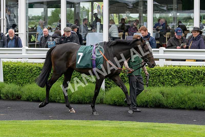 230524-Race 3-See The Green-1409 - Race 3