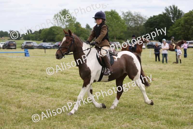20260614-3060 - Class 22 - Open Working Hunter