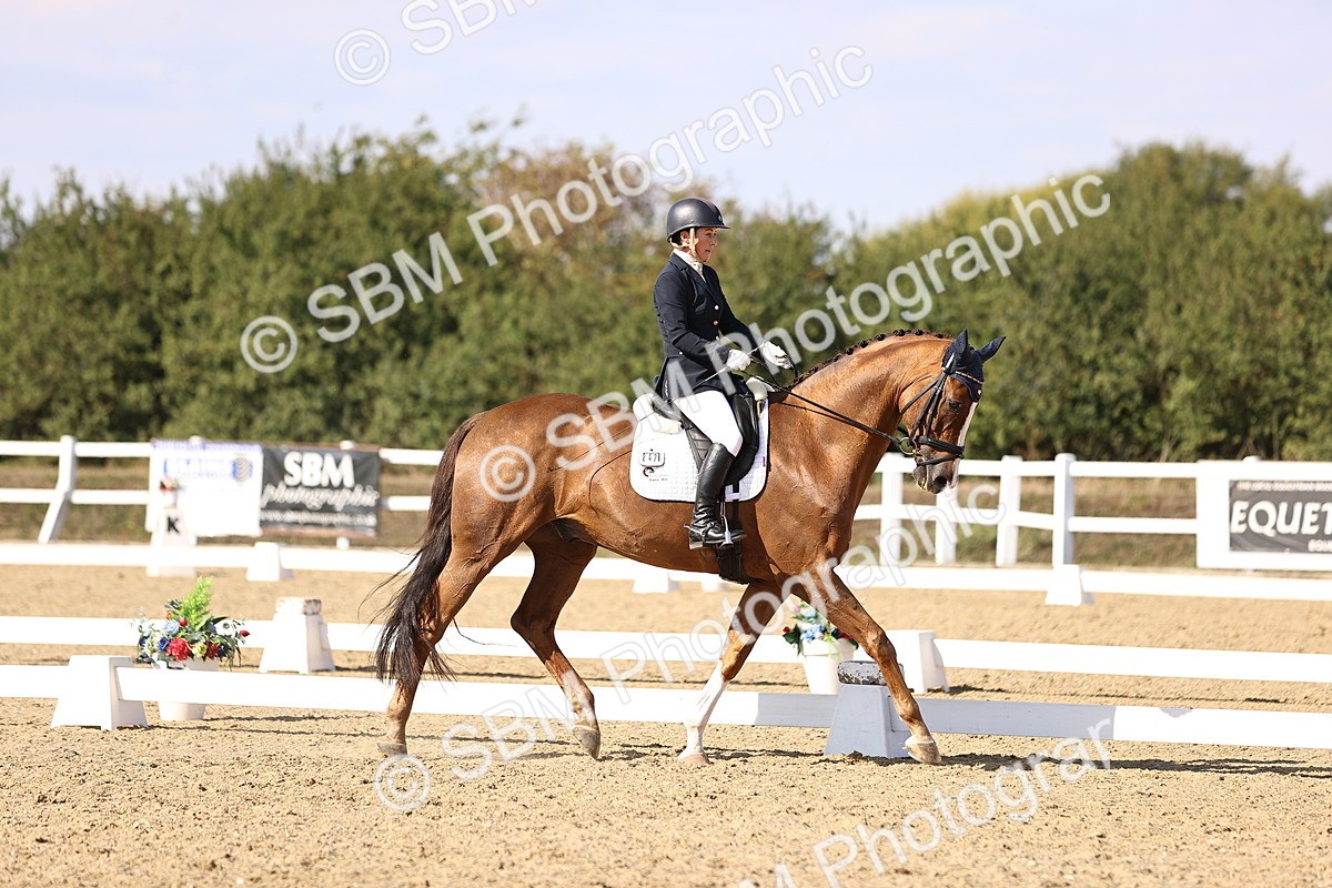 SBM_015245 - Class 8 - Medium 5