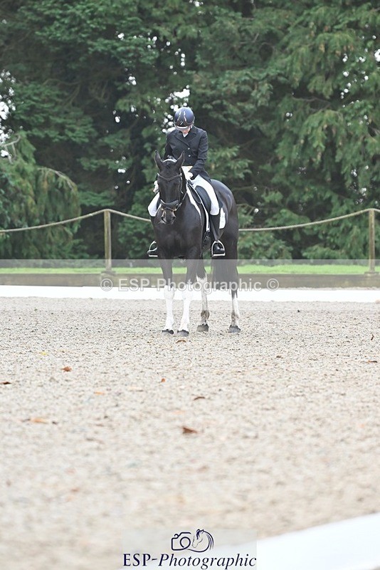 231019-103614-01908 - 101-RICARDO.COLOURS.II-Elizabeth.Wadey-DR