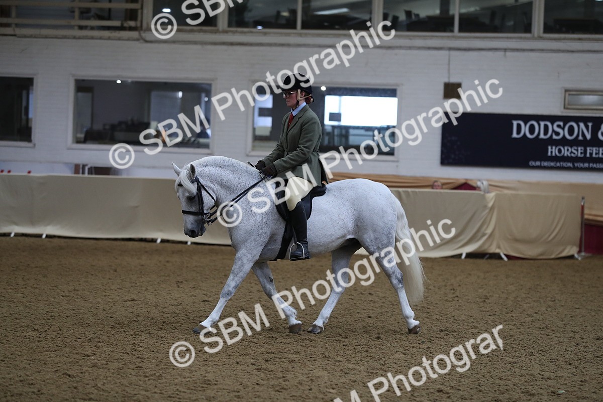SBM_10420 - Class 102 Equitation (best rider) Adult