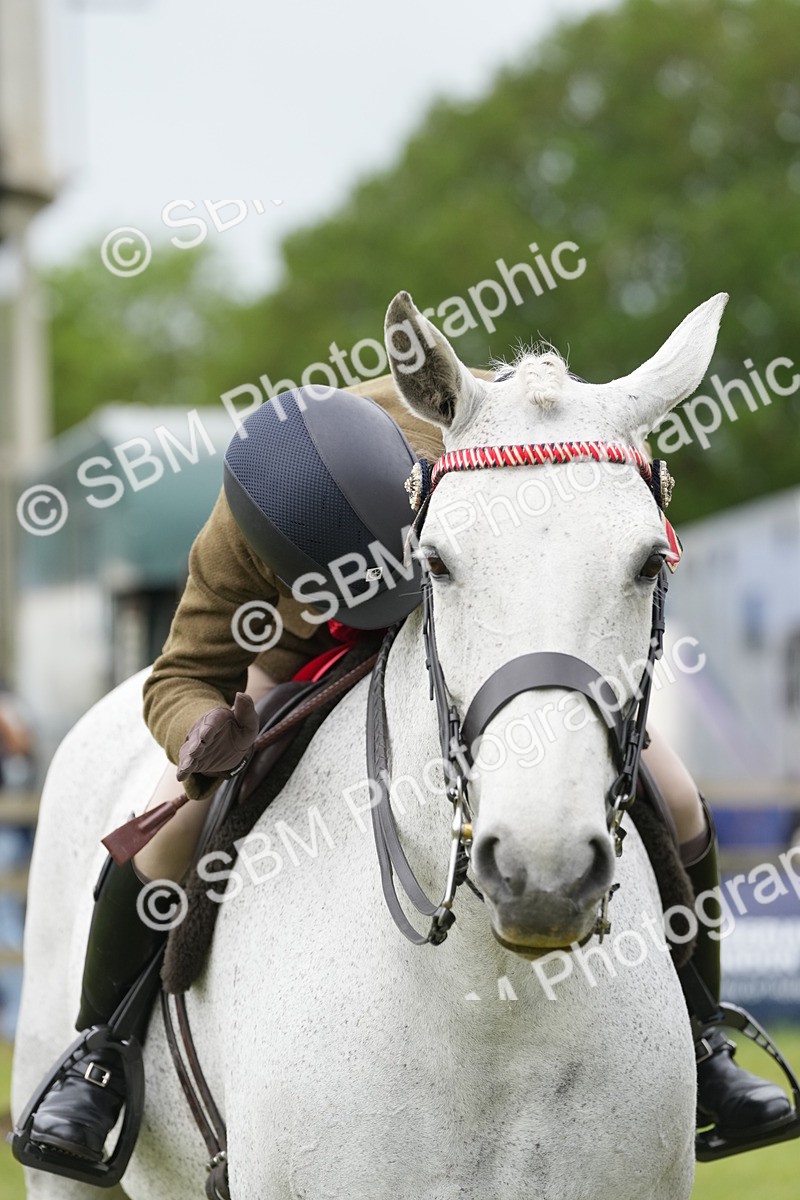 SBM_10655 - Class 97-98 - LIHS BSHA Rising Star Working Show Horse Hunter