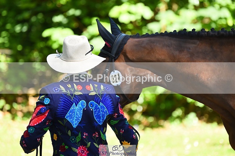 230524-152128-00227 - 324-DRUMGIVEN_MR_CHARISMA-Jeanette_Brakewell-WEDTrotUp+DR