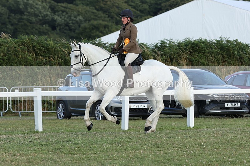 JPP_3726 - Class 24: Open Working Hunter
