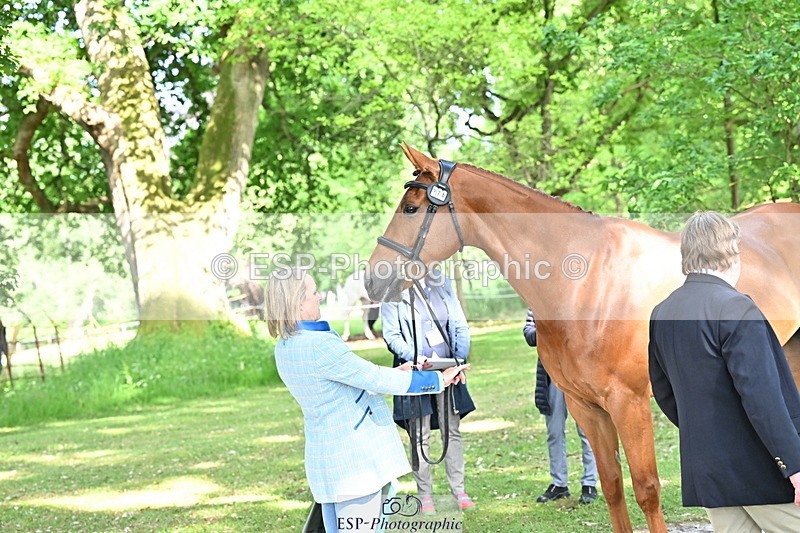 250521A-165849-01447 - C-276-Sammi.Birch-ROSAS.PARTY