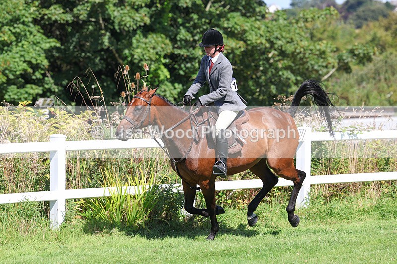 3E7A8428 - Class 4: Novice working Hunter