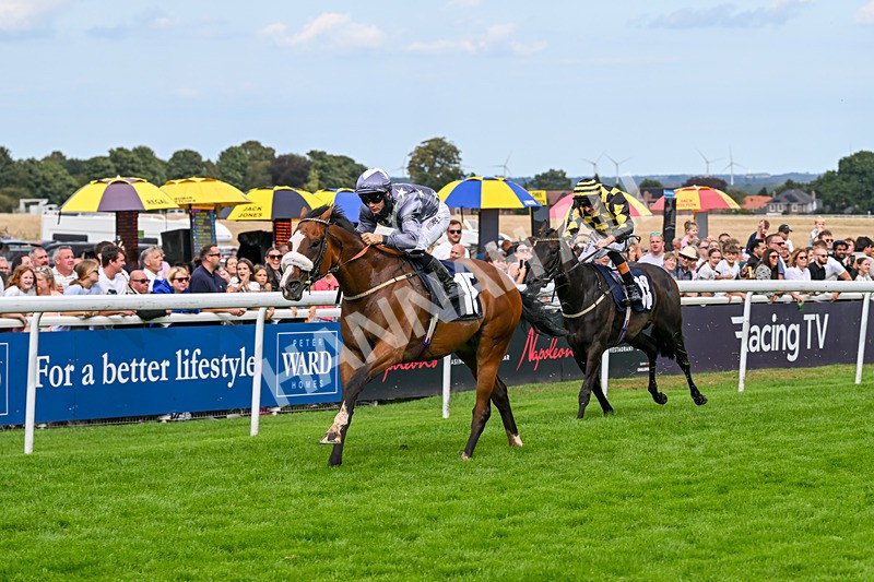 300826-Race 5-Harb-1118 - Race 5 3.55pm Constant Security Handicap