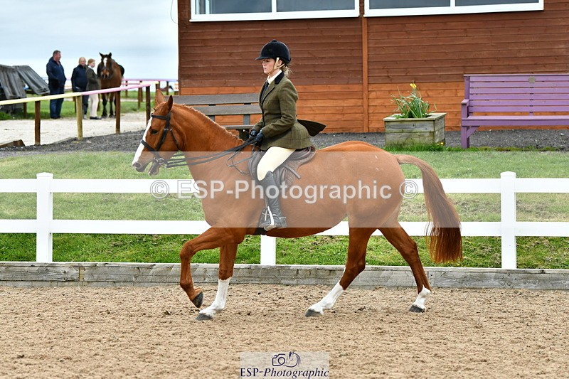 230416A-143117-05258 - Cls 74 Warmblood
