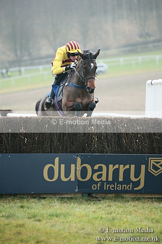 PtP 251118-48 - Vine & Craven Point-to Point Barbury Racecourse 25/11/18