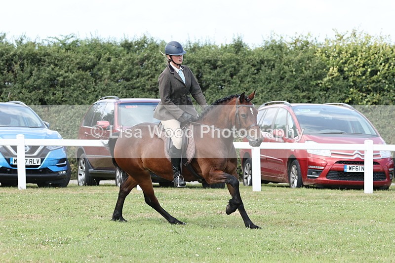 JPP_2407 - Class 19: Working Hunter 60cm