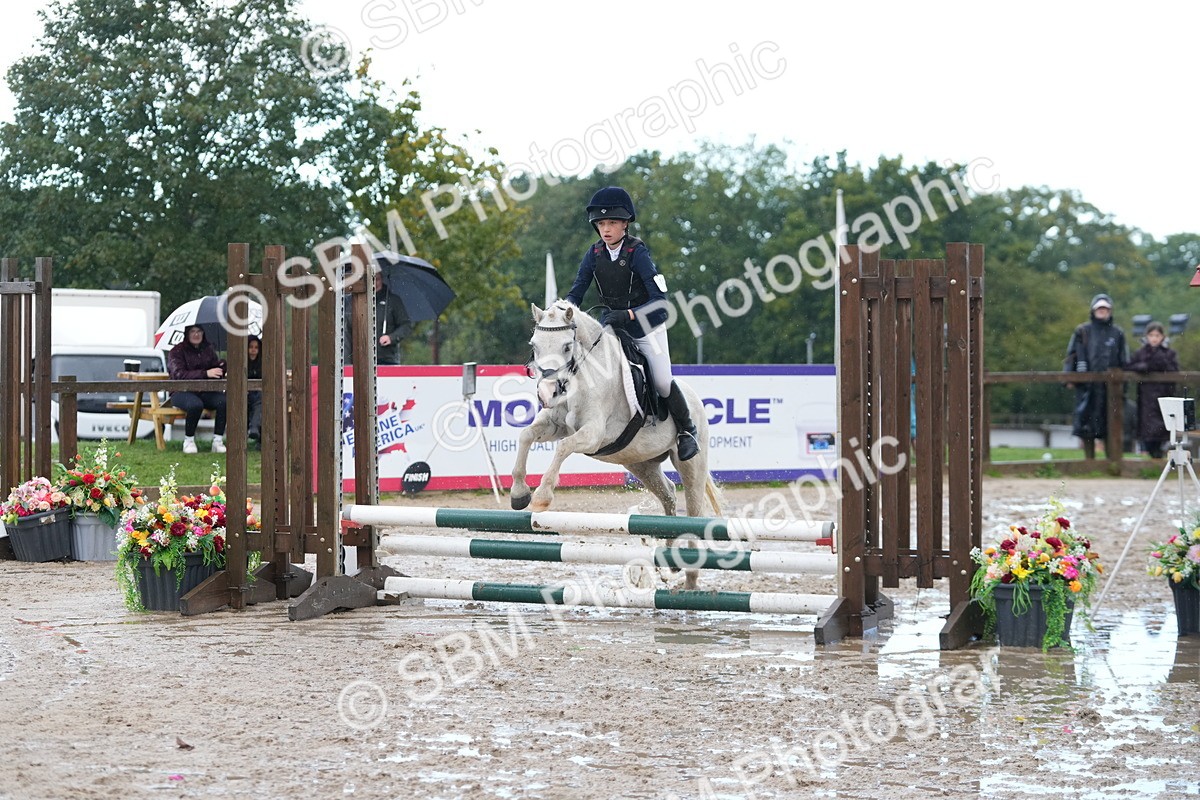 SBM_36352 - J5 - Junior Pony 50cm Championship