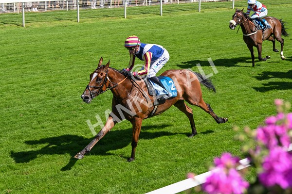 110725-Race 4-Dain Ma Nut In-4298 - Race 4 3.55pm Azets Handicap