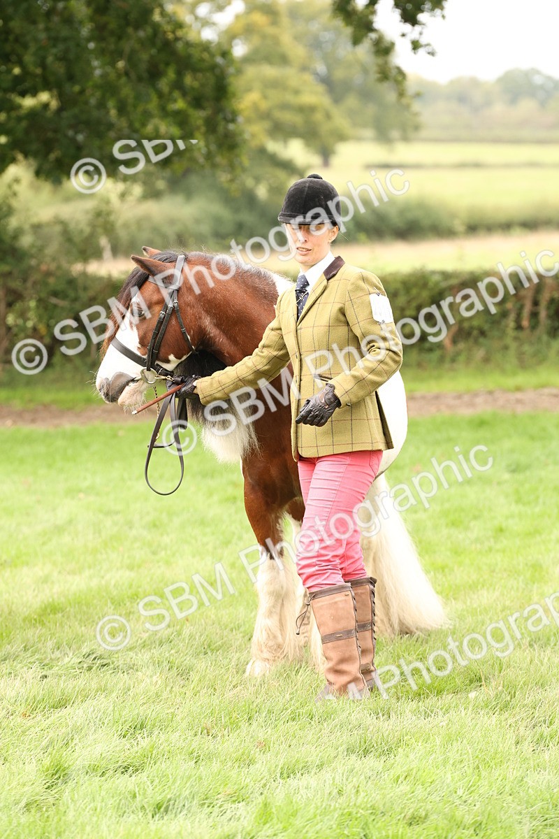 SBM_59312 - S57 - Traditional Cob In Hand