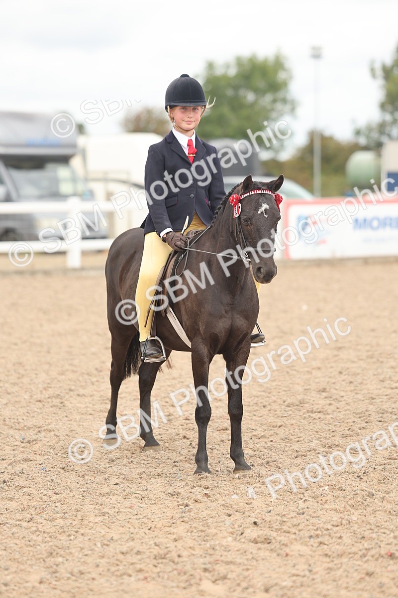 SBM_16038 - Class 311 - Ridden Show pony-Show hunter Pony