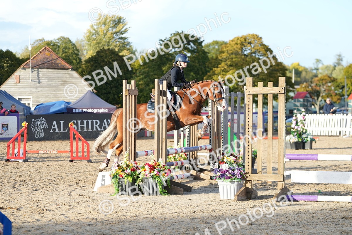 SBM_29416 - J44 - Horse & Hound Open 70cm