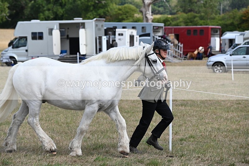 WJ6_6505 - Class 20 In-hand Cob