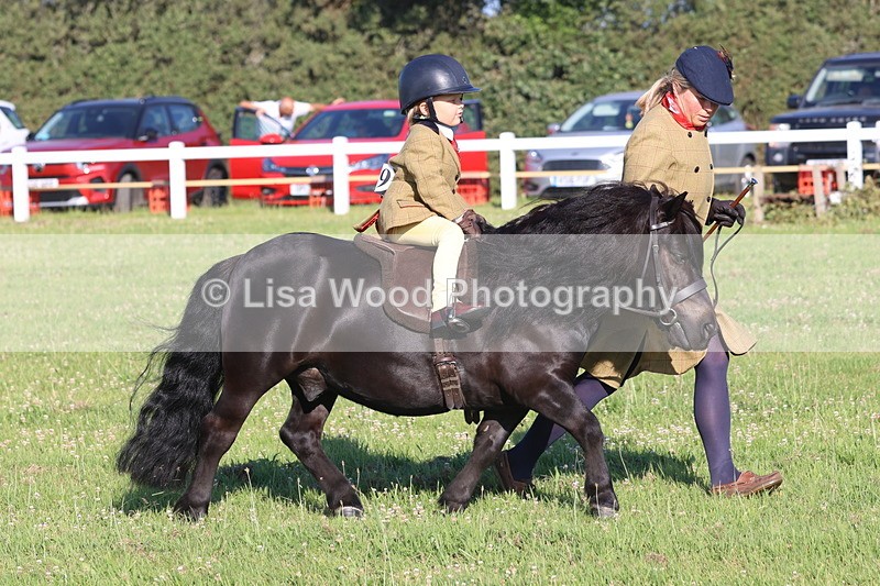 JPP_0807 - Class 16: Cornish Combination Leading Rein