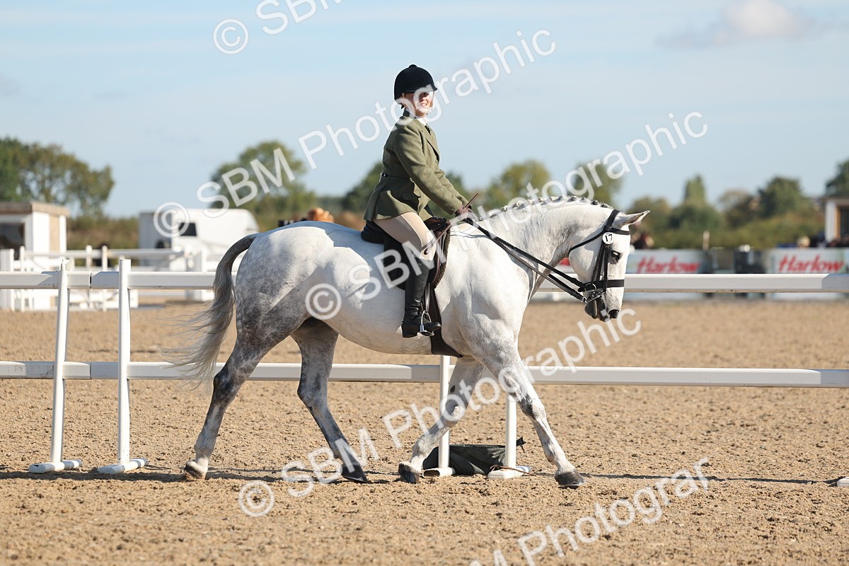 SBM_12302 - Class 304 - Ridden part Bred Horse Pony