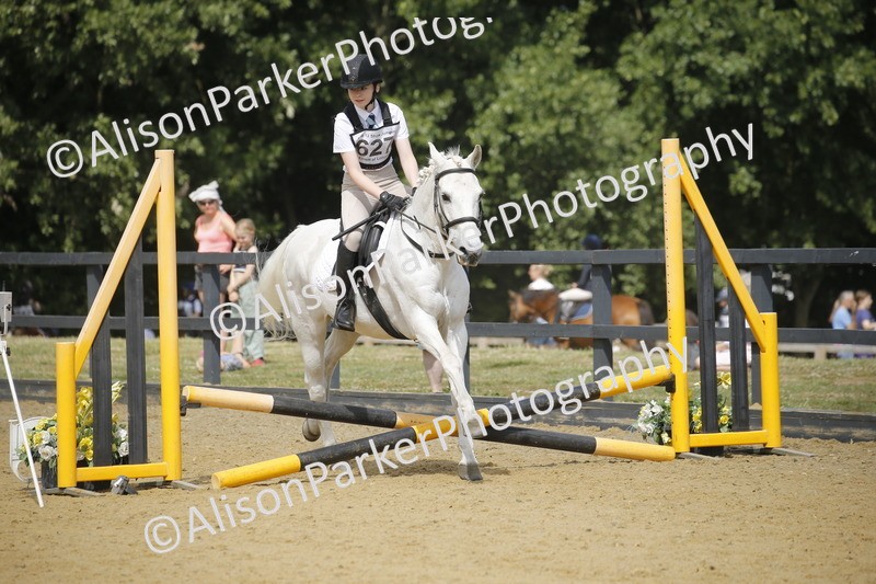 20250622-3906 - 50cm