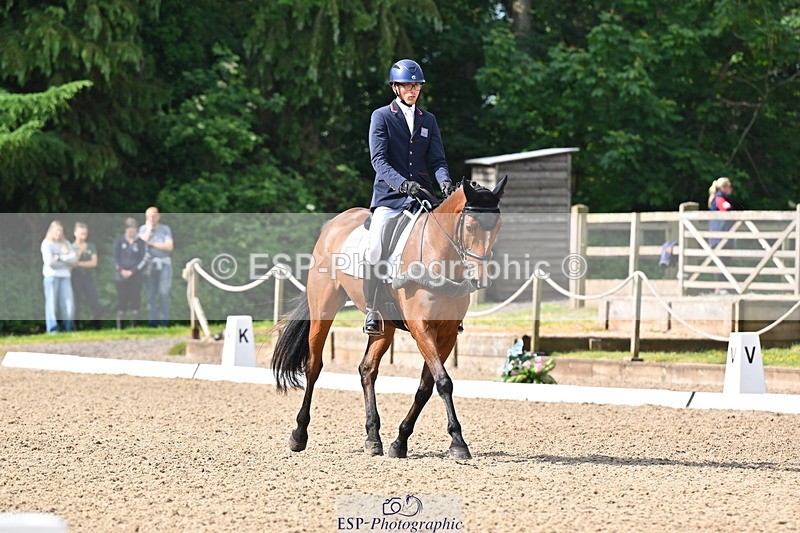 250523A-093936-05290 - C-258-Bill.Levett-ITALIAN.HARLEQUIN.NJ