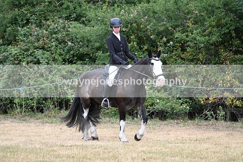 WJ7_0127 - Class 2 Best rider