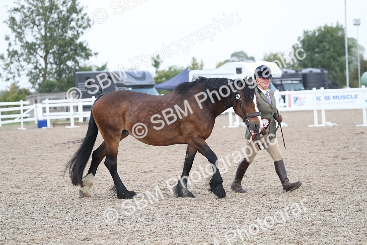 SBM_22611 - Class 604 - 2025 Area - IH Diamond