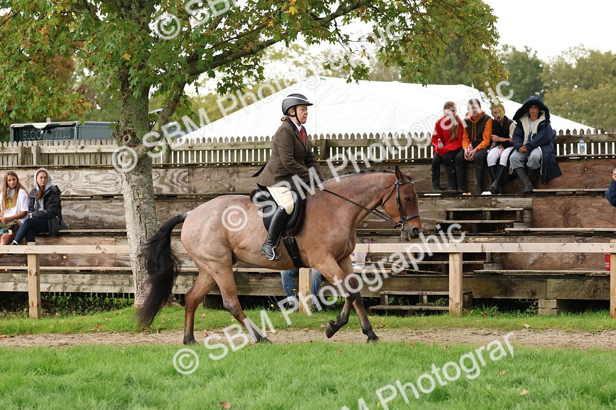 SBM_44985 - S27 - Young Veteran Ridden