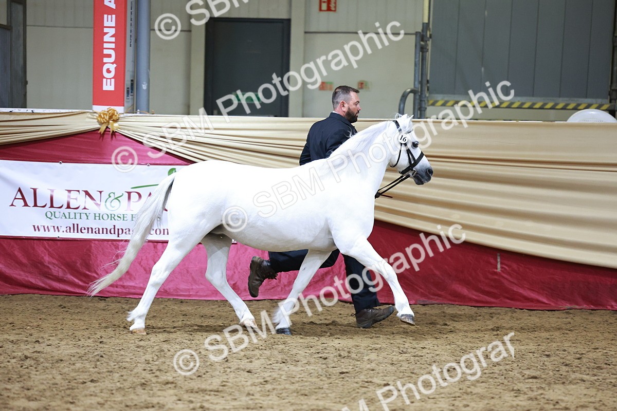 SBM_20318 - Class E - Best Turned Out Champ