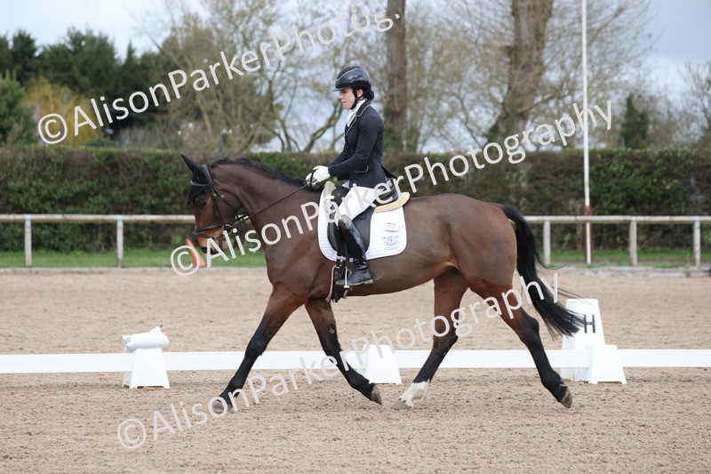 20260301-0246 - Class 3 - Novice 4