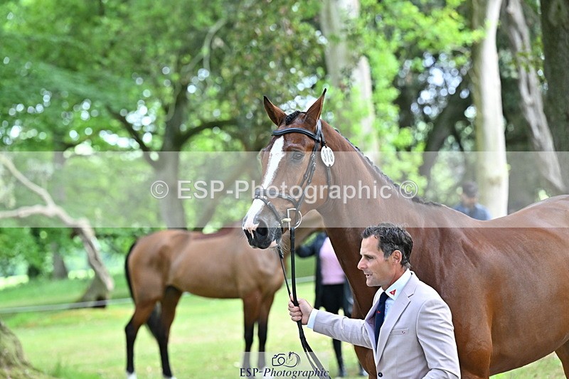 250521A-151146-00332 - B-318-Alexander.Bragg-SHANNONDALE.CONNOR