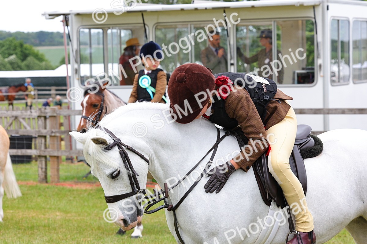 SBM_08873 - Class 42-43 - LIHS BSPS Heritage Working Sports Pony
