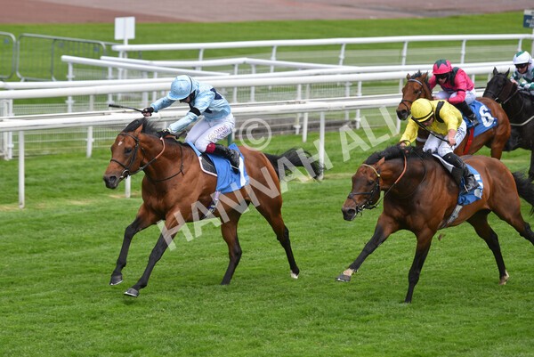 yr12052021r3-24 - Race 3 2.40pm Duke of York Clipper Logistics Stakes