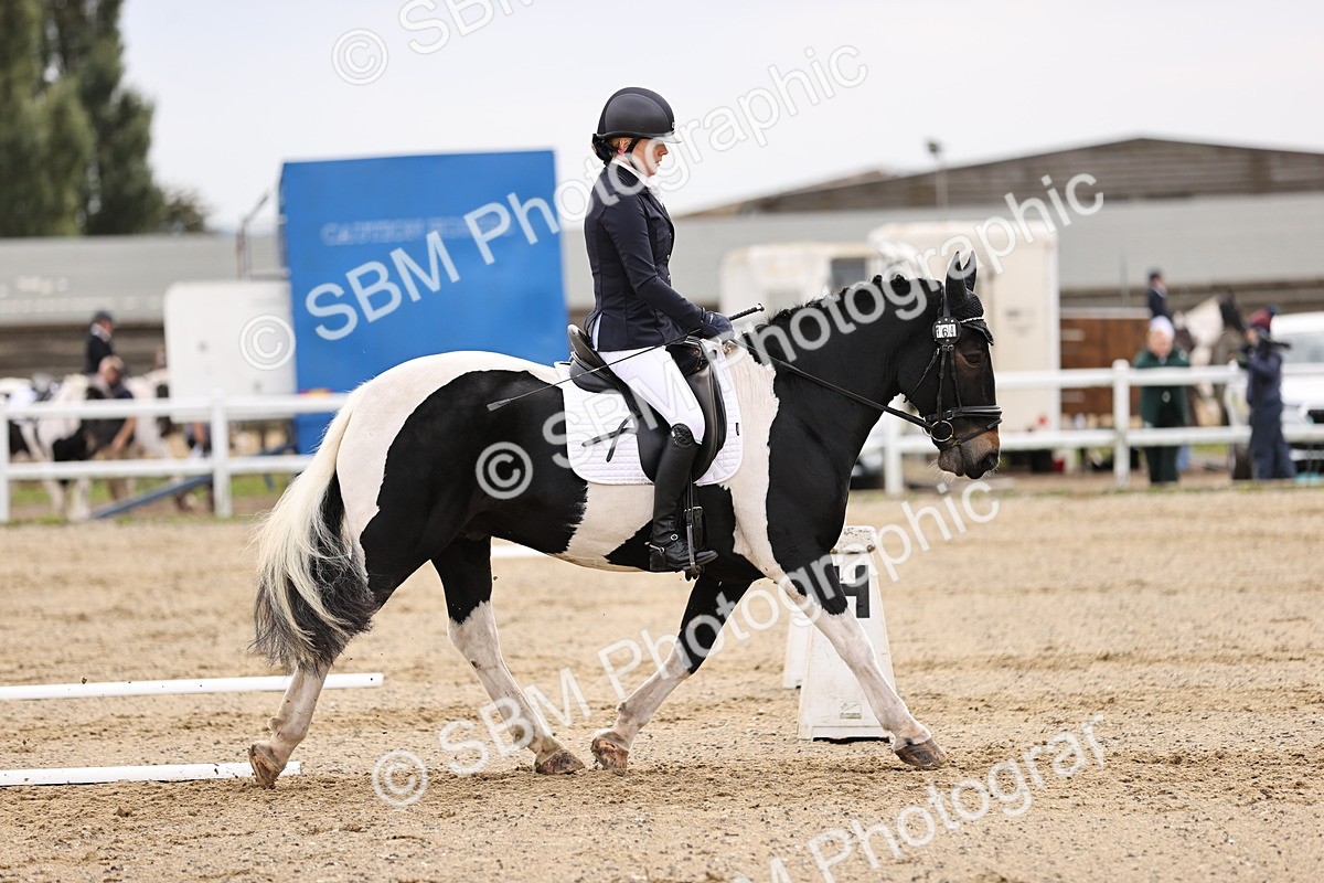 SBM_001166 - Prelim 3
