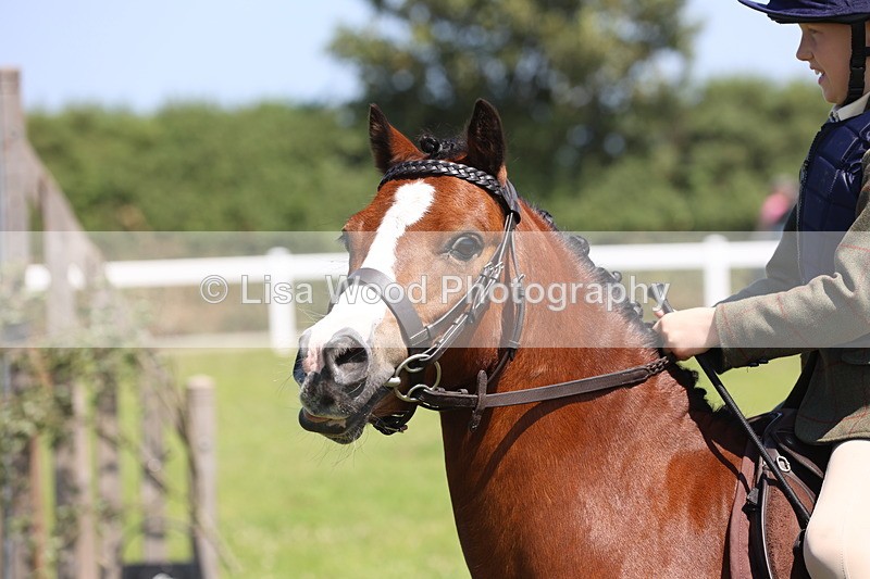 JPP_2256 - Class 20: Tiny Tots Working Hunter Pony