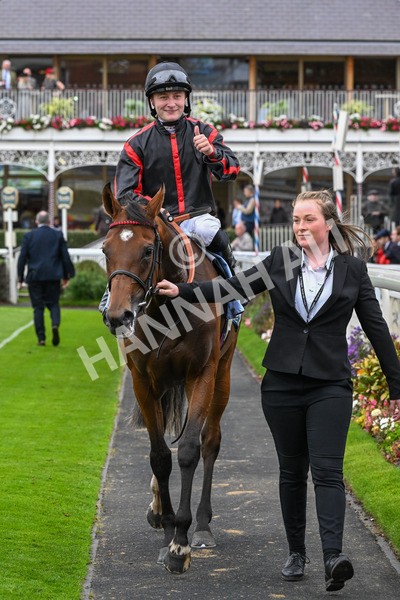 101025-Race 4-Thaluna-0358 - Race 4 William Hill Best Odds Guaranteed EBF Novice Stakes at York