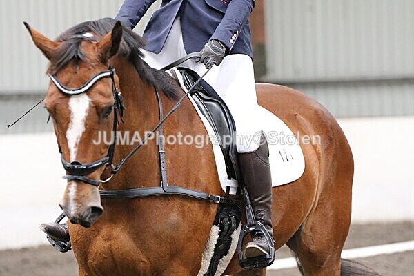 SIAL5078 - CAbin Dressage 5th july 2025