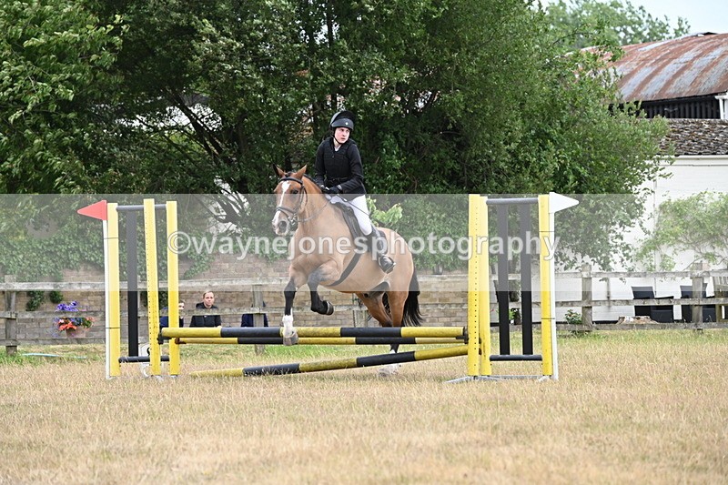 WJ6_0184 - Class 13 Novice Jumping 60cm