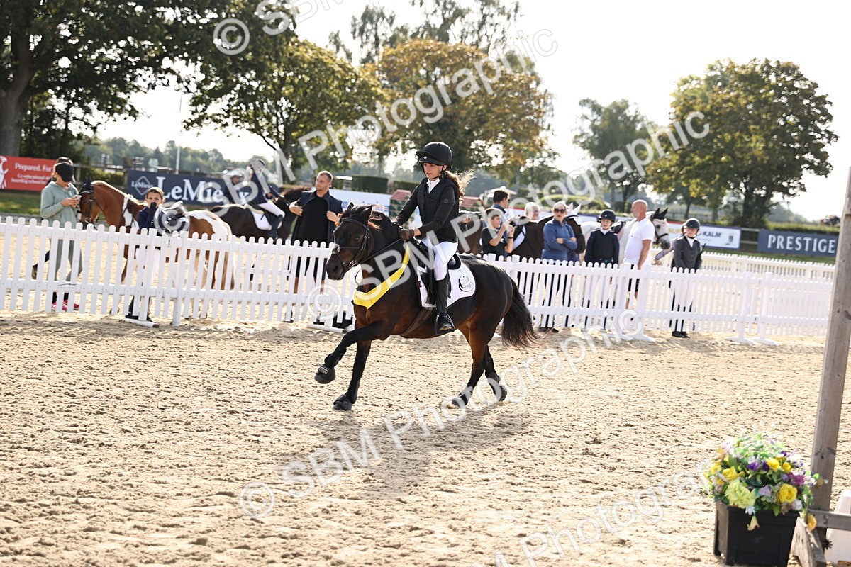 SBM_59792 - J11 - Junior Pony 50cm Championship