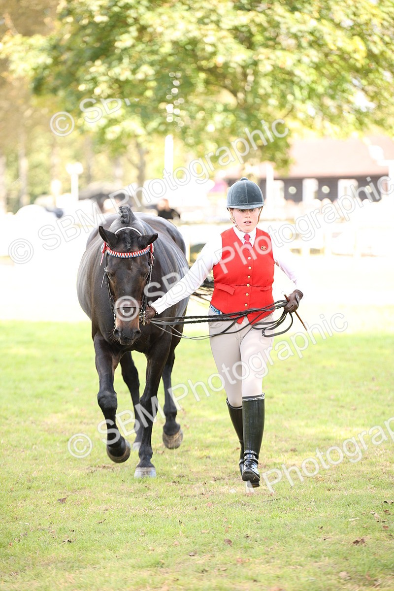 SBM_44417 - S24 - Young Veteran in hand