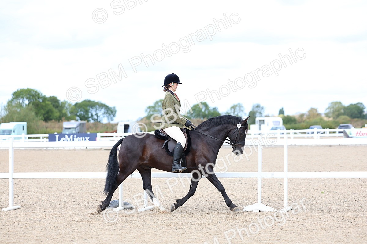 SBM_15769 - Class 314 - Family Horse - Pony