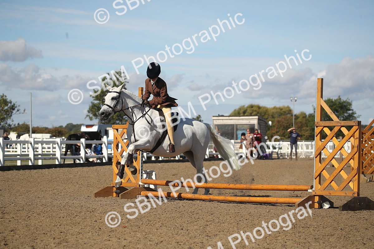 SBM_12747 - Class 504b - Junior Working Veteran - 40cm (20+)