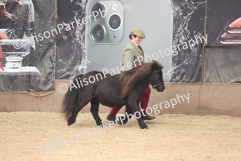 20251109-0302 - Class 13 - Mares 4 Years and Over