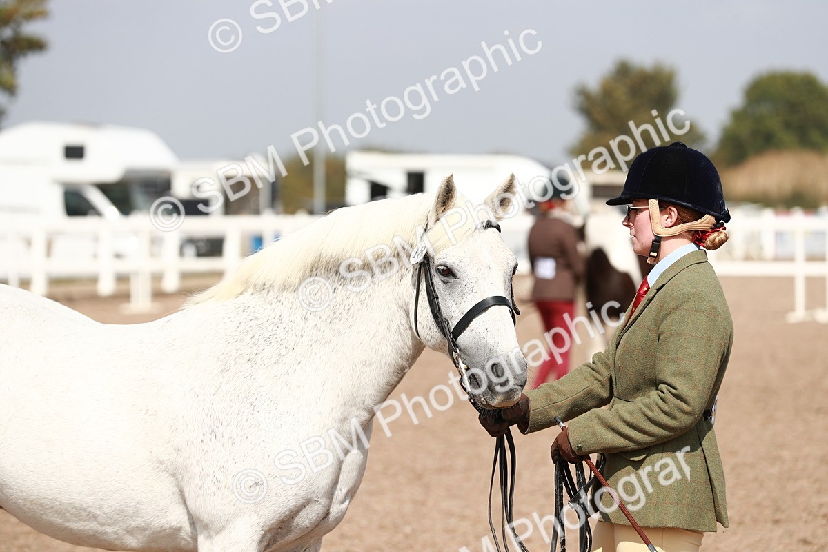 SBM_13909 - Class 209 IH Veteran Pony