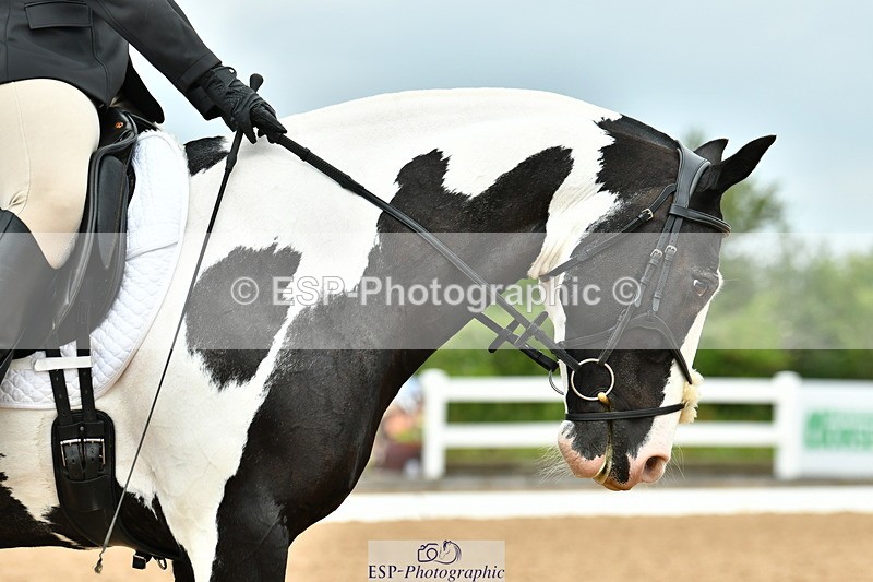 230701A-110745-05162 - Cls 5 Novice 37A