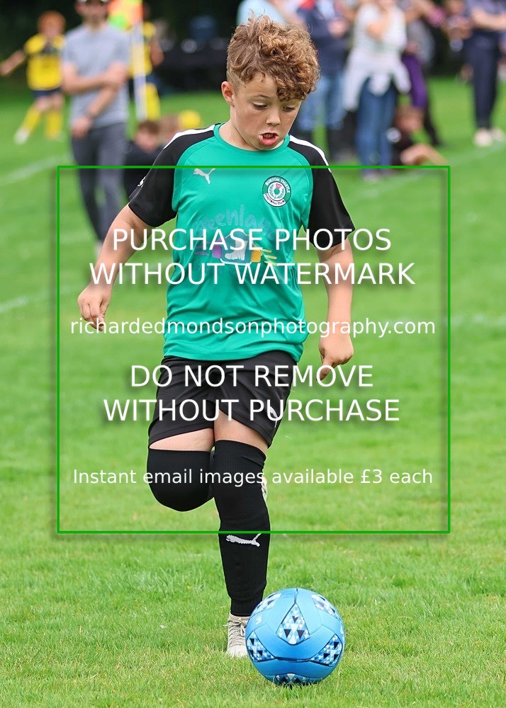533A7934 - Burton Thistle
